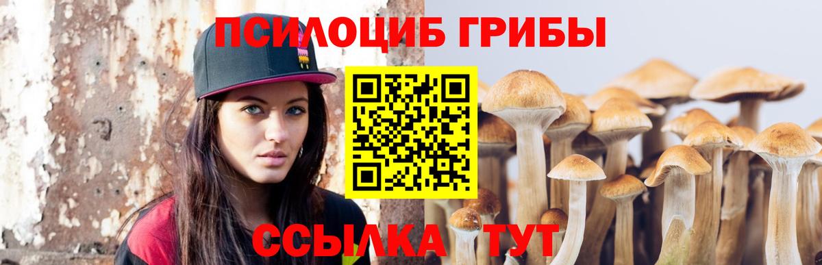 Барнаул  Псилоцибиновые грибы Psilocybine cubensis  Вход с VPN 